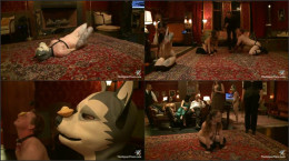 Minx' Puppy Party