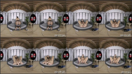 Curvy chick Diana Zilli enjoys masturbating and posing her amazing feet and tattooed body in virtual