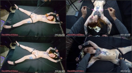 Jasper Reed The Submissive Affair Unveiled
