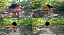 ConventionalJudicious