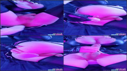 Trans 485830549
