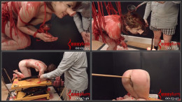 Female sub, Humiliation, Torture[11]